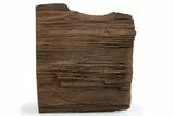 Permineralized Wood Covered In Sparkling Quartz - Germany #302179-1